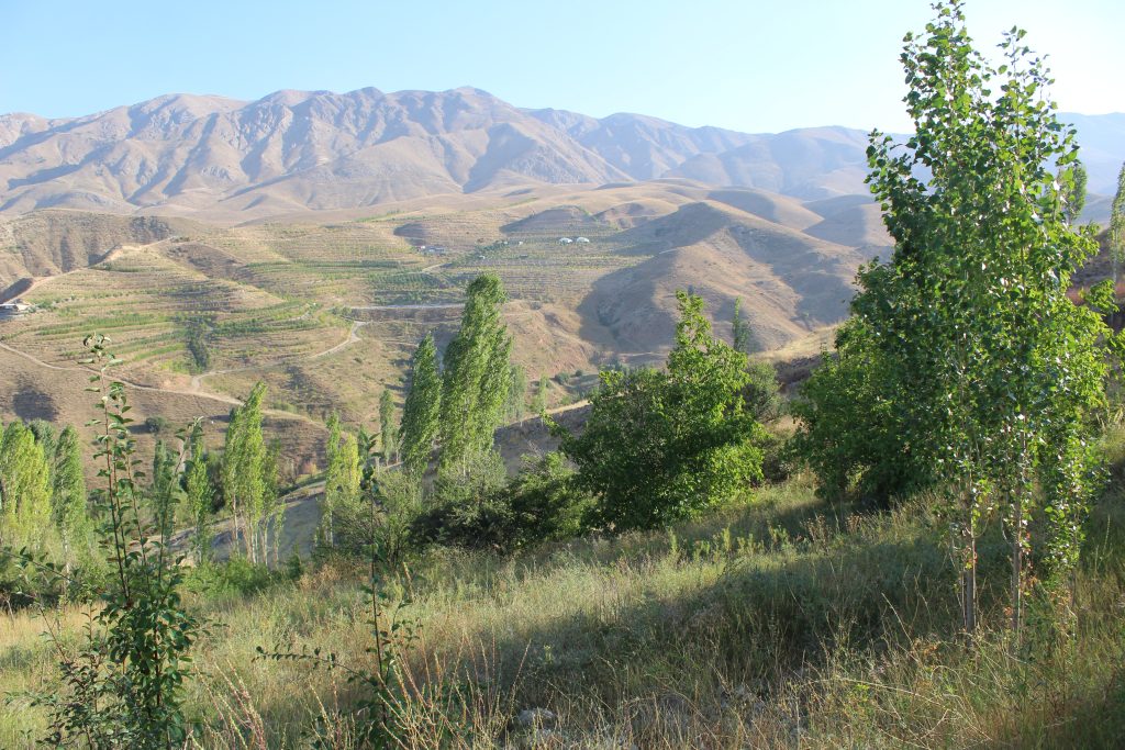 800 متر زمین باقیمت استثنایی در فیروزکوه